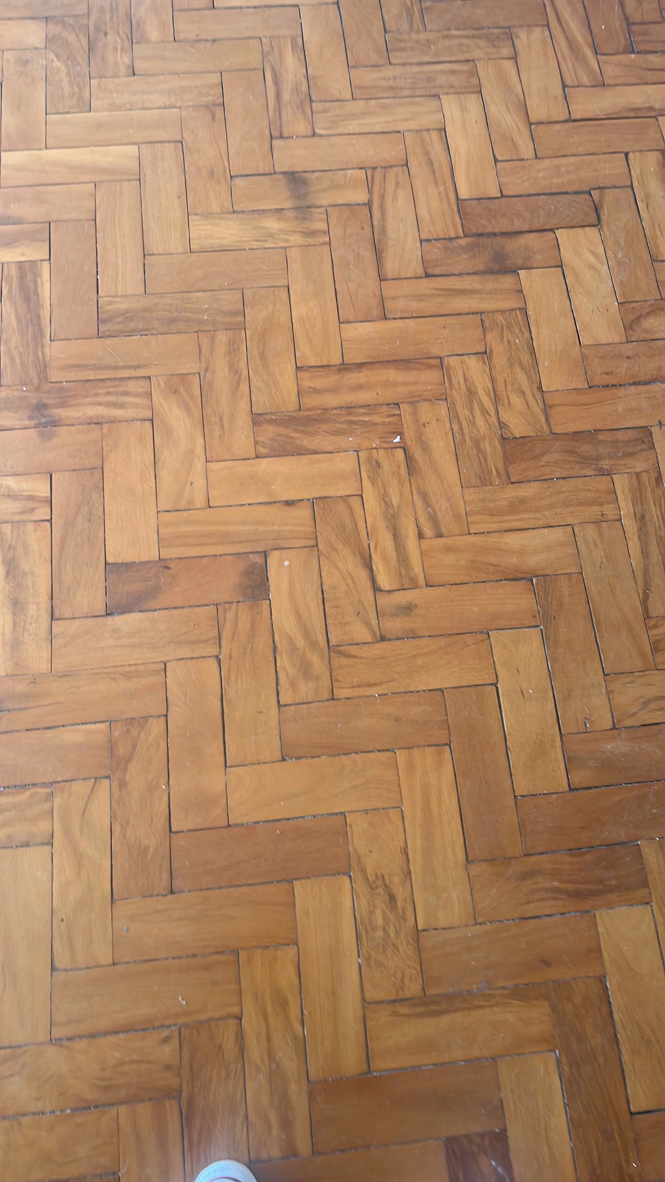 Piso de madeira restaurado com brilho profissional